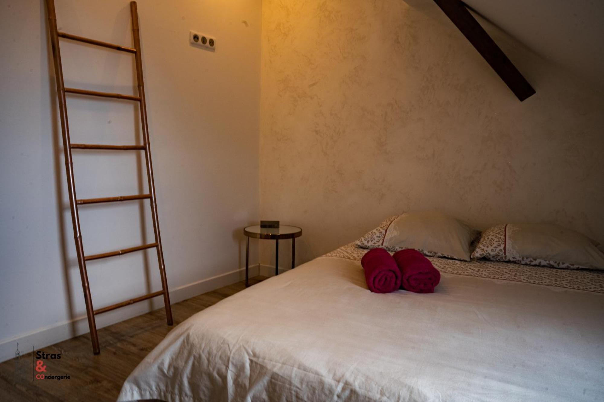 Belles Combles Alsaciennes Au Centre De Strasbourg Apartman Kültér fotó