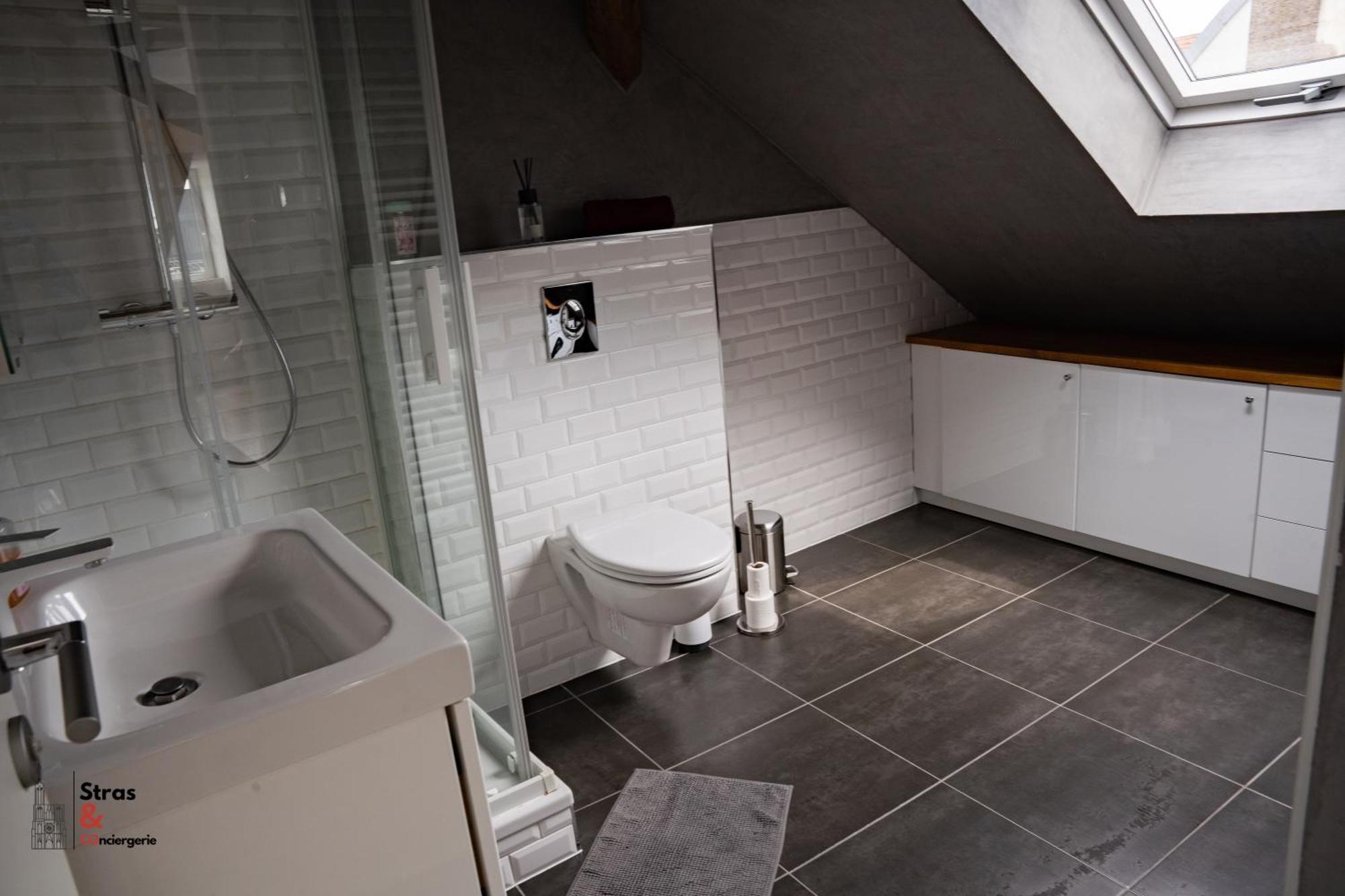 Belles Combles Alsaciennes Au Centre De Strasbourg Apartman Kültér fotó