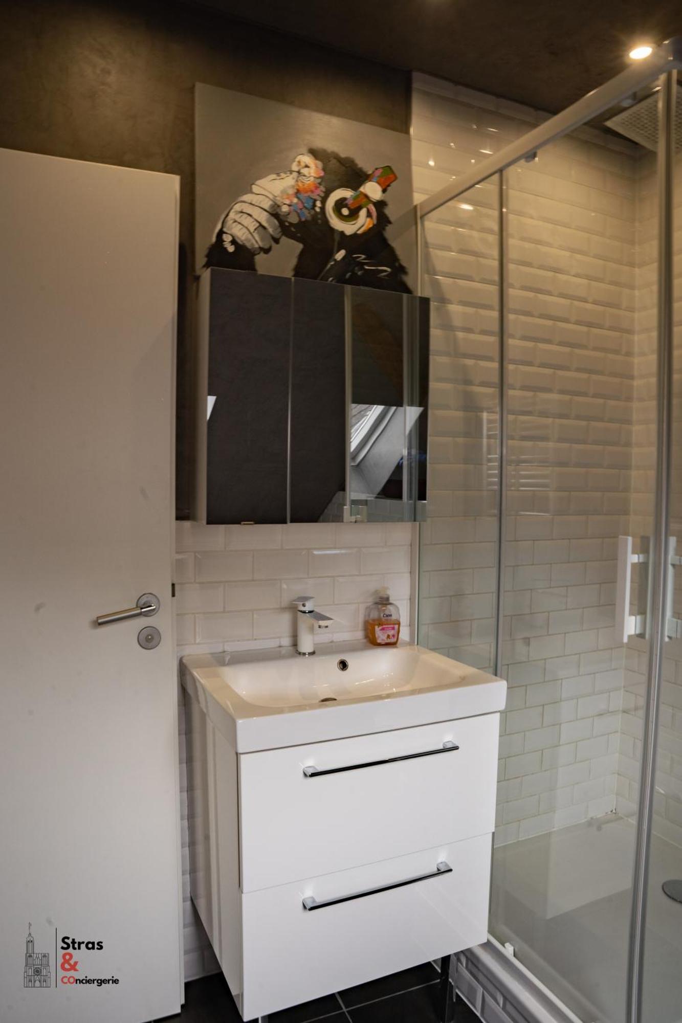 Belles Combles Alsaciennes Au Centre De Strasbourg Apartman Kültér fotó